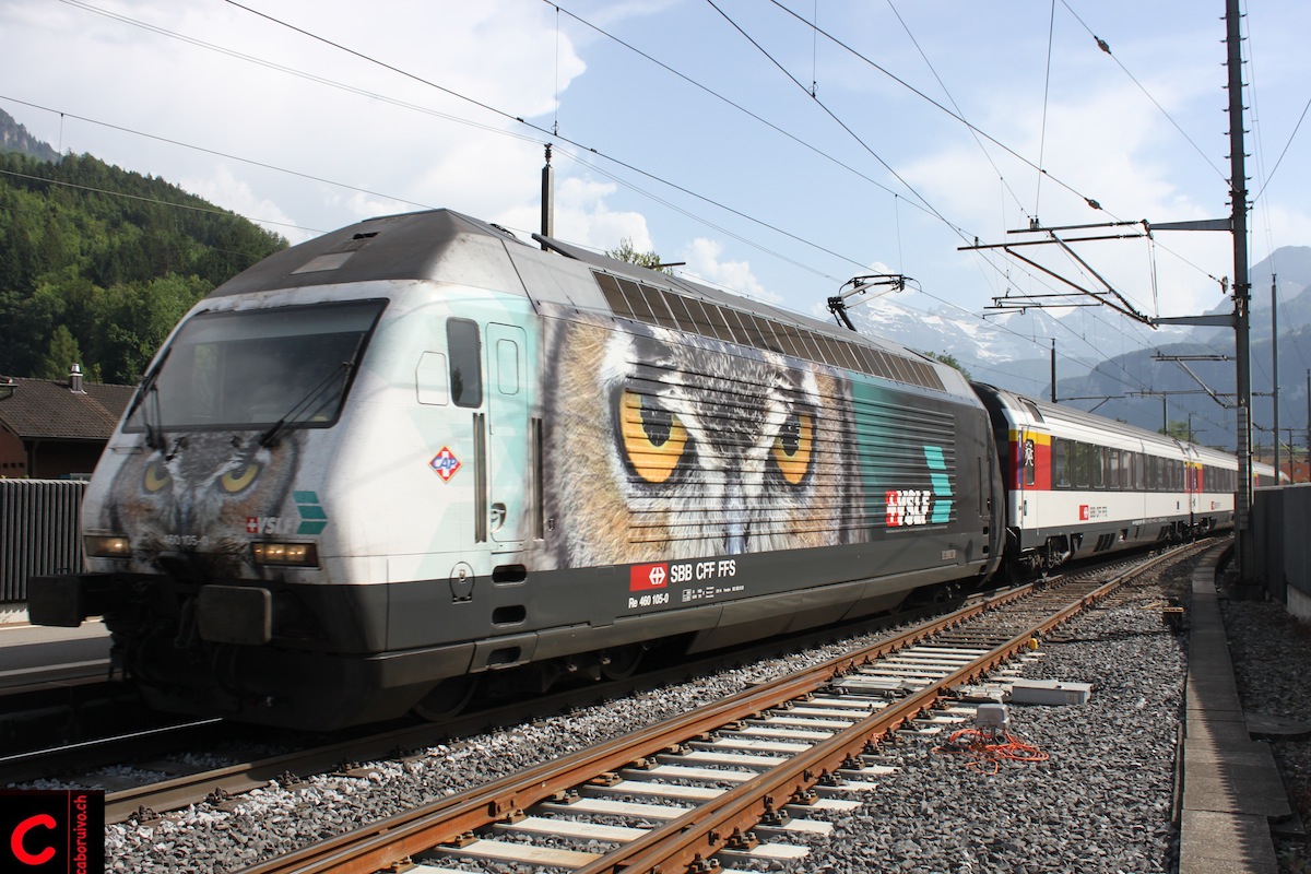 Arrivata ed è bellissima... Re-460-105-0-mit-IR-10280-G%C3%B6schenen%E2%80%93Z%C3%BCrich-HB-in-Brunnen